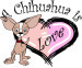 th_achihuahuaislove.jpg