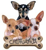 th_chihuahua-1.jpg